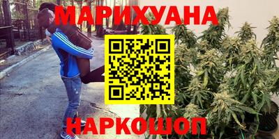 гидропоника Ипатово