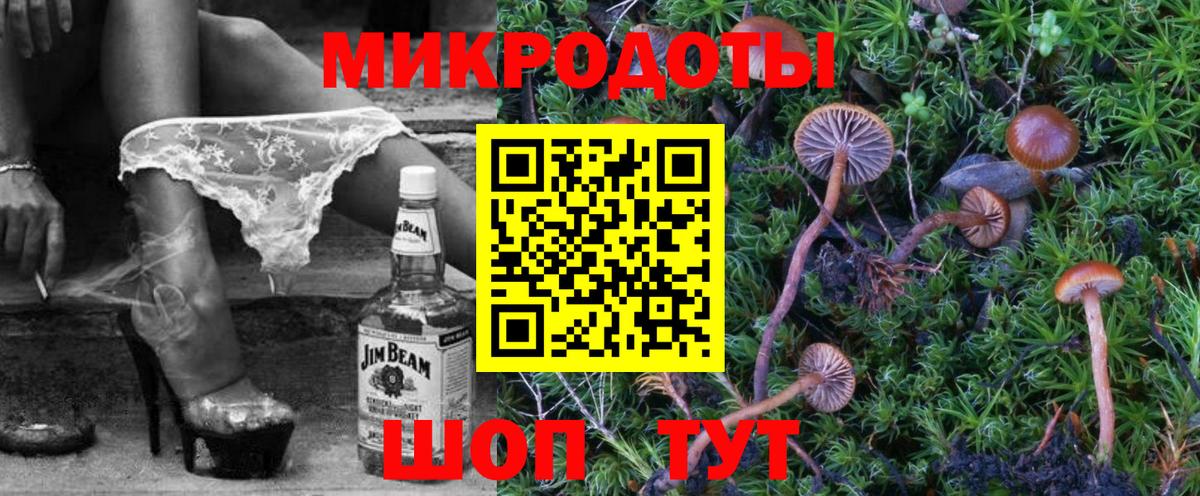 Псилоцибиновые грибы Менделеевск