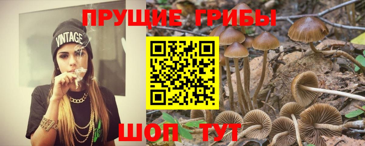 Псилоцибиновые грибы Cubensis  Псилоцибиновые грибы ЛСД  Вход с VPN  Менделеевск 